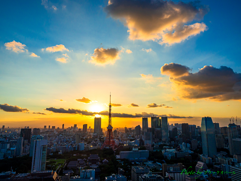 東京夕景2016..