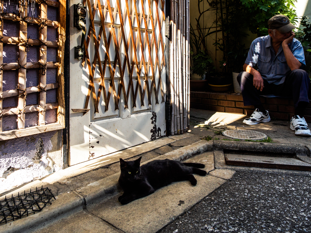 老人と猫