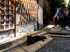老人と猫