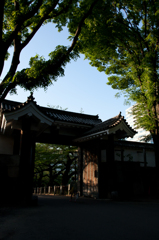 門