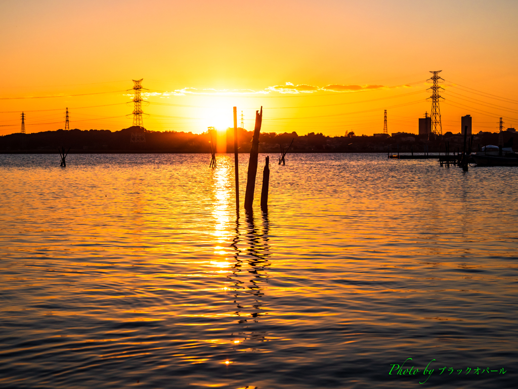 夕日の手賀沼..