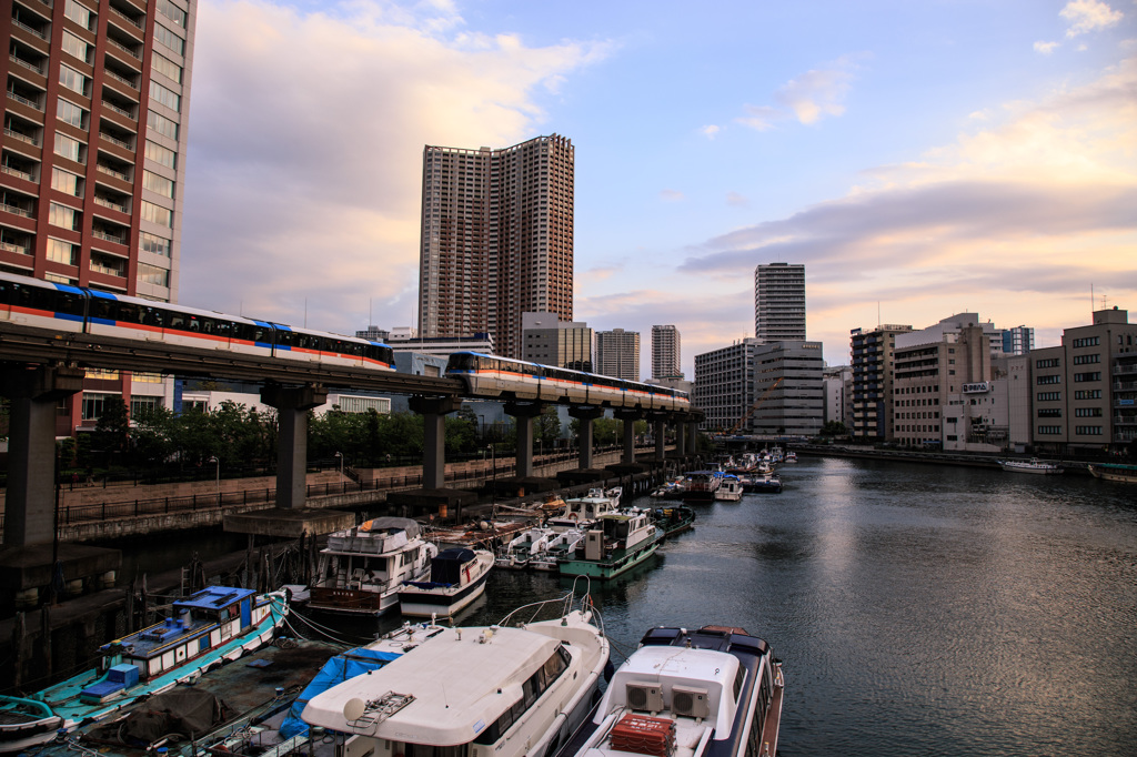 運河とゆりかもめ⑴