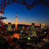 ハートフルタウン