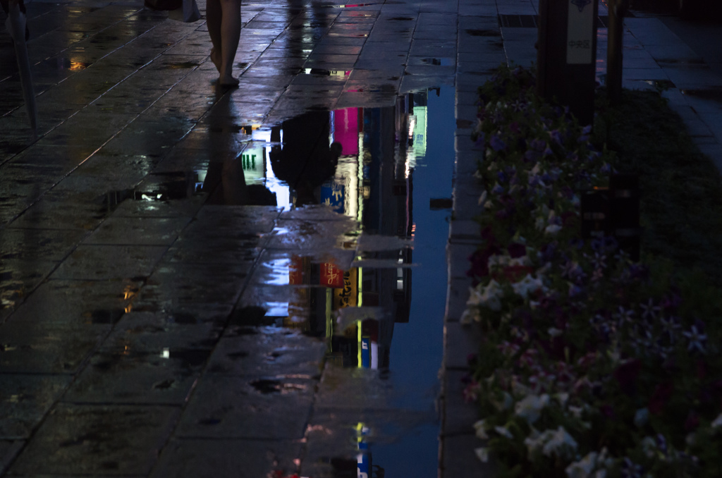 雨上がりの舗道