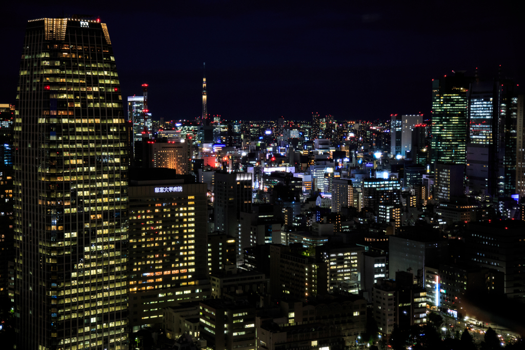東京 Night View