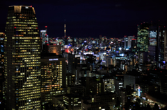 東京 Night View