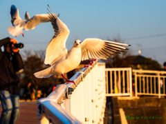 ひょええええぇぇぇ〜〜っ！