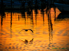 夕暮れの水面..