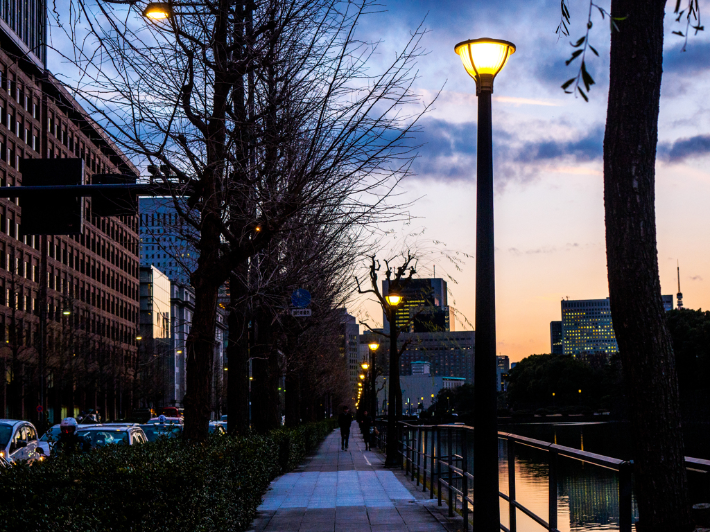 夕暮れの散歩道