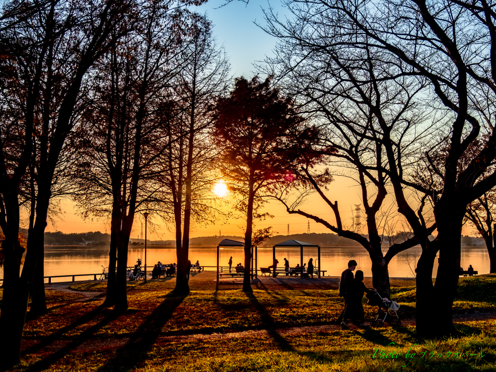 夕日差す公園..