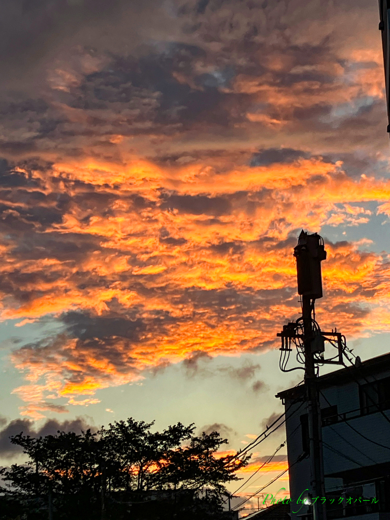 近所の夕焼け..