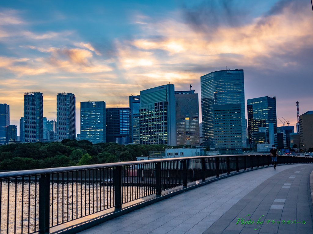 シオサイト夕景..