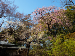 主役の座は・・・