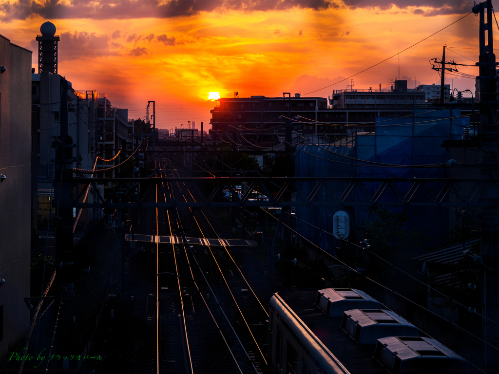 夕陽に照らされて..