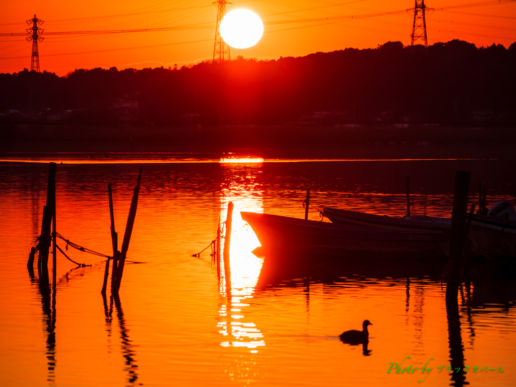 夕照（せきしょう）..