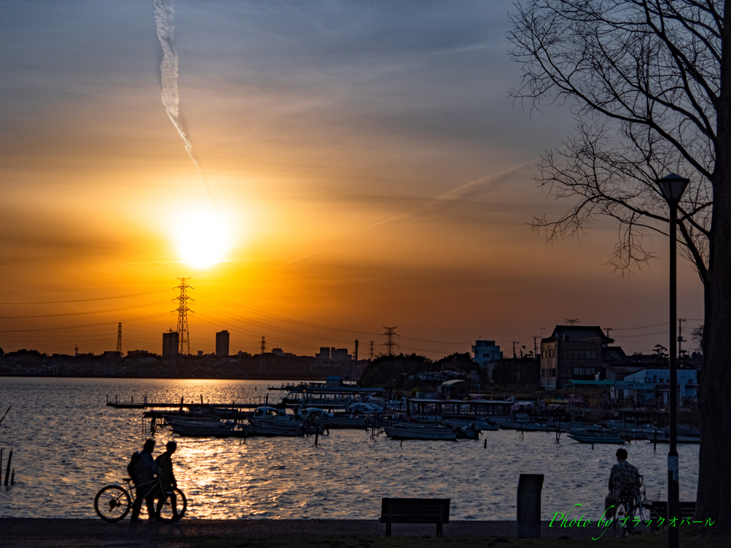 薄陽の夕暮れ..