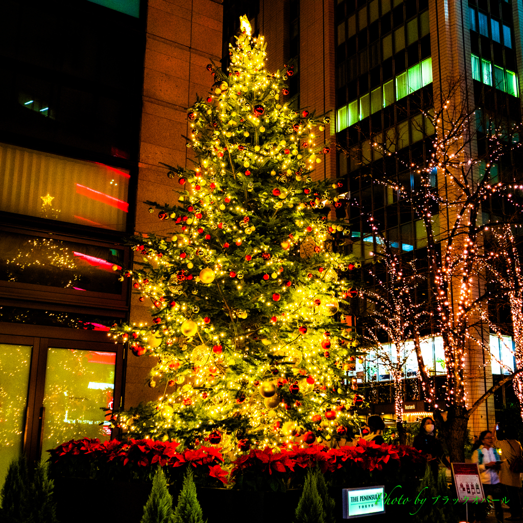 街角のクリスマスツリー..