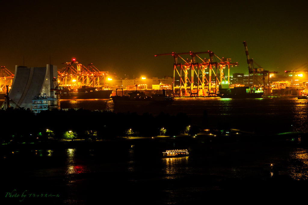 埠頭夜景..