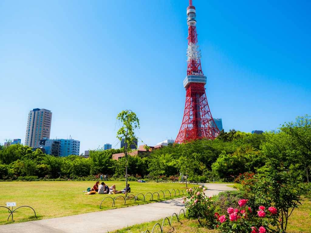 バラ咲く五月晴れの公園にて..