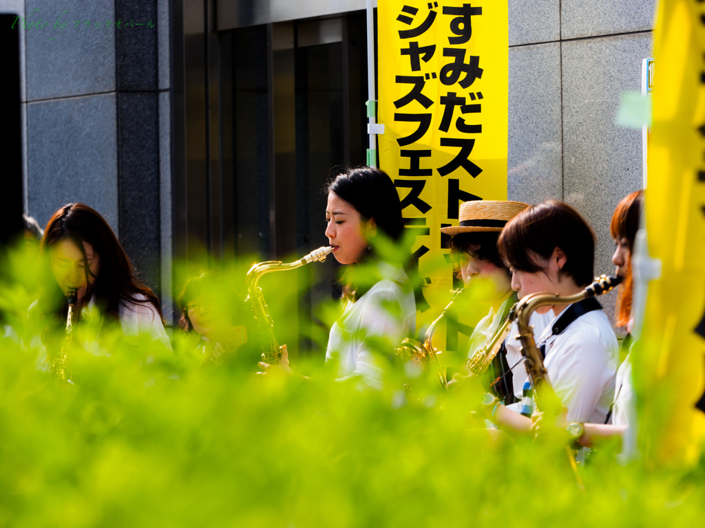 ストリートライブ..＃3