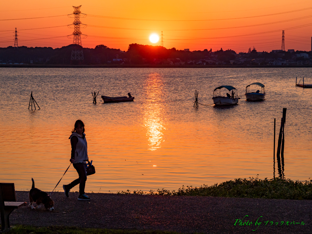 夕日とお散歩..