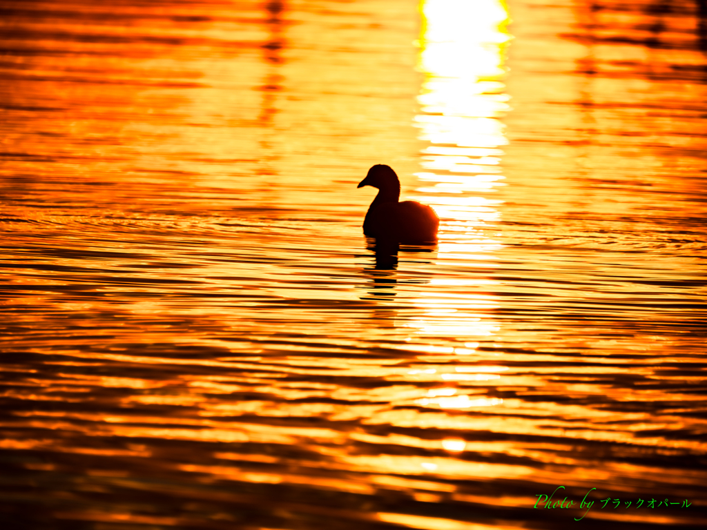 サンロードに浮かぶ..