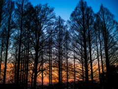 晩冬の夕暮れ..＃2