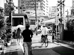 下町の夏風景..