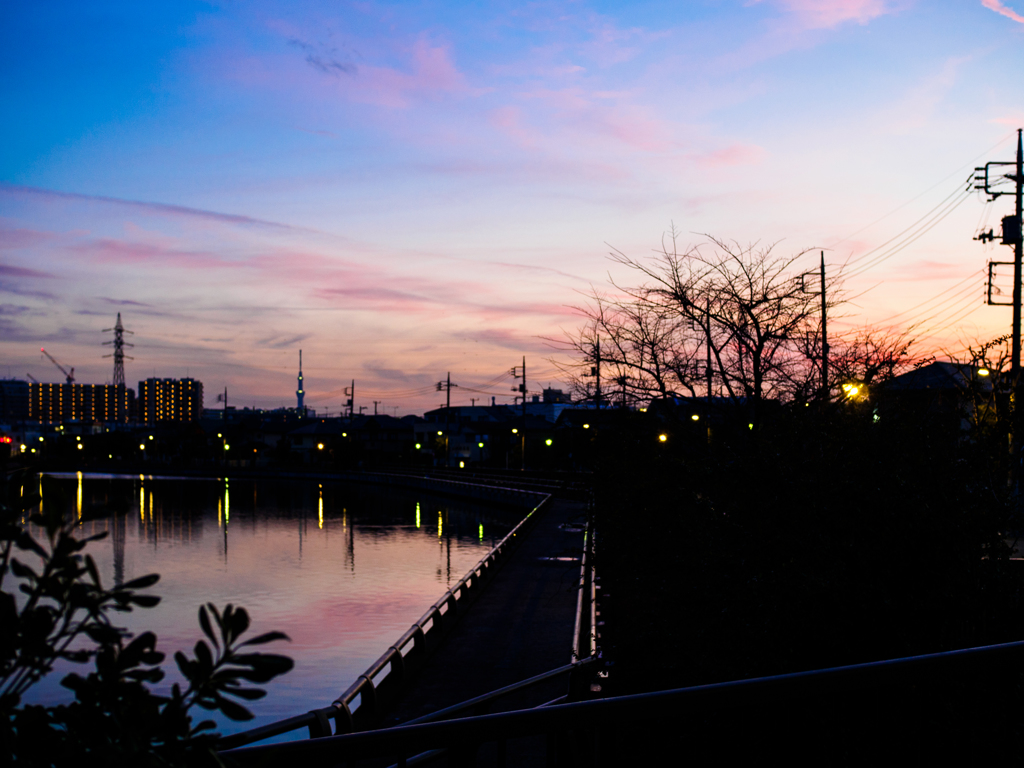 ありふれた夕暮れ..