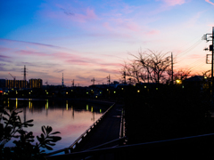 ありふれた夕暮れ..