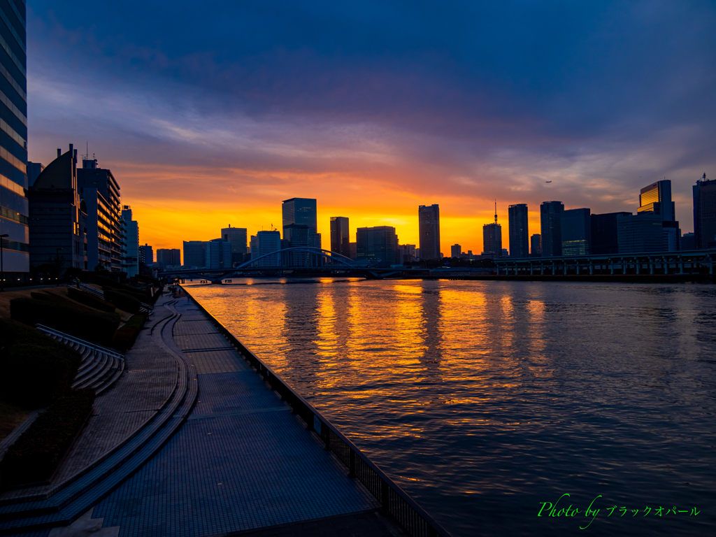  隅田川夕景..