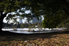 雪の浜離宮庭園⑮