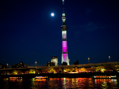 月夜の隅田公園桜祭