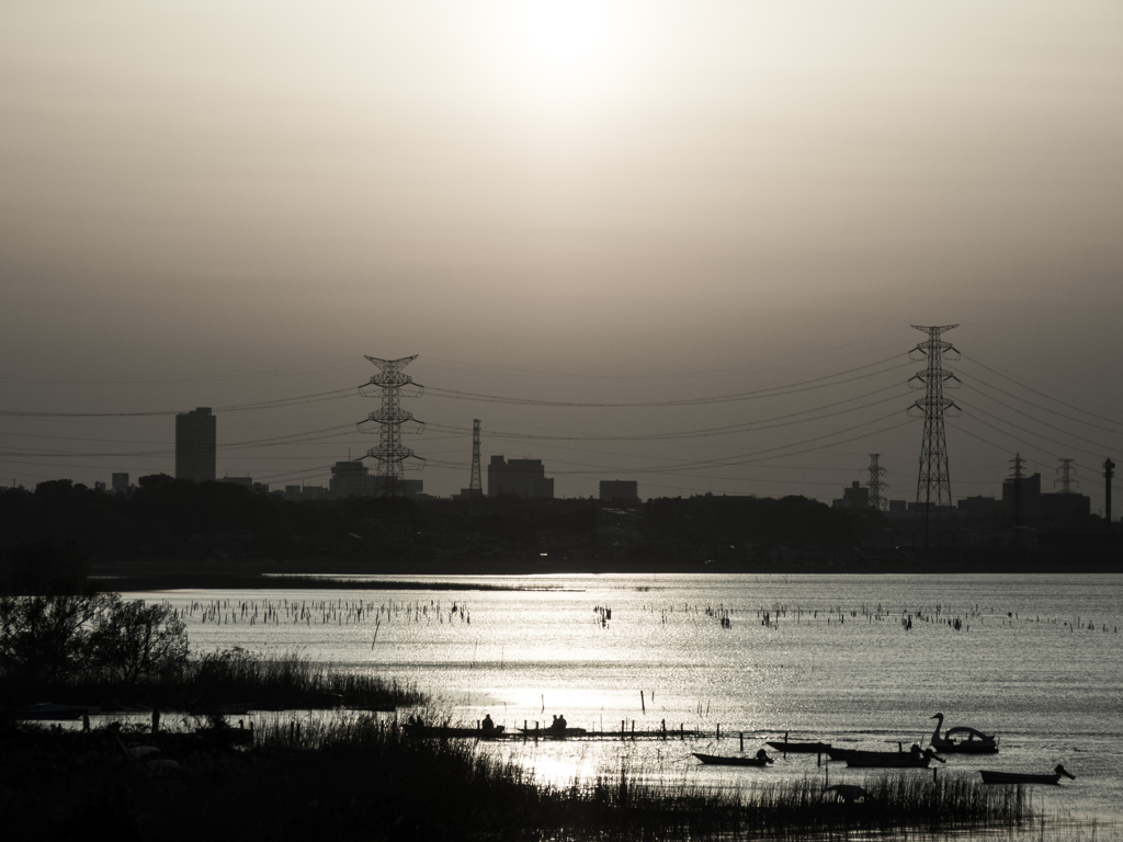 手賀沼夕景〜春の煌めき
