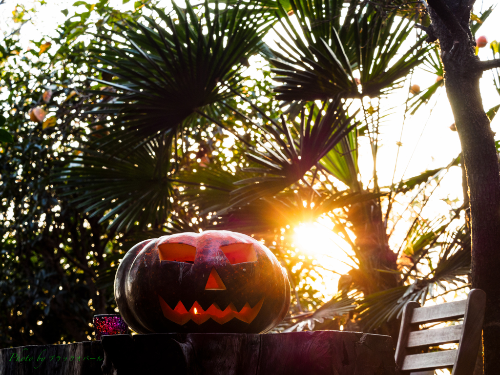 もうすぐハロウィン..