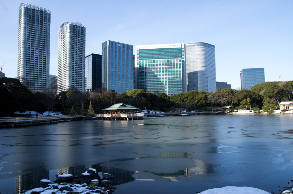 雪の浜離宮庭園⑰