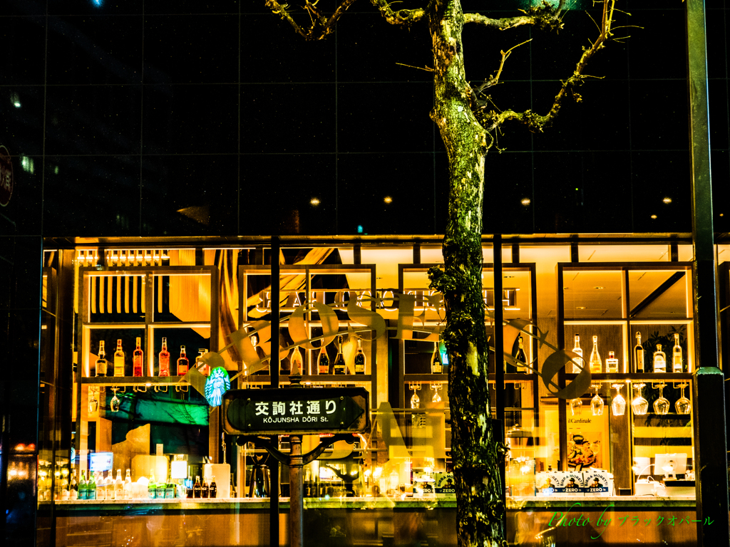 夜のオアシス..