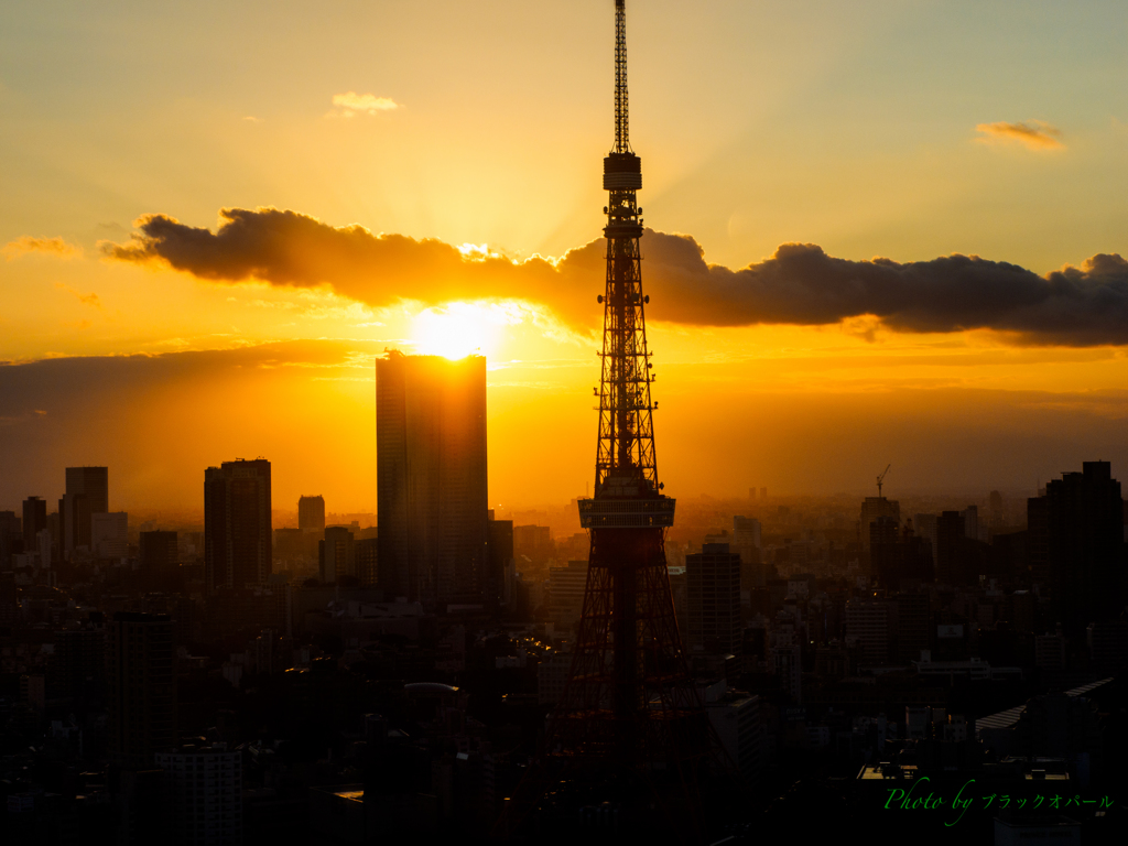 東京晩夏..