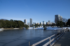 雪の浜離宮庭園⑭