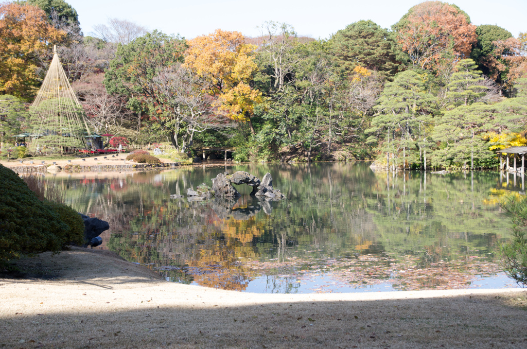 紅葉の六義園にて⑫