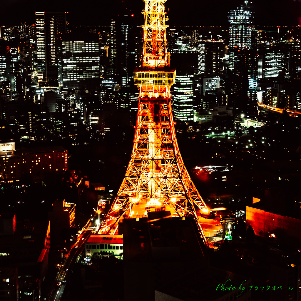 夜の東京タワー..