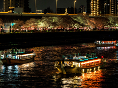 夜桜舟