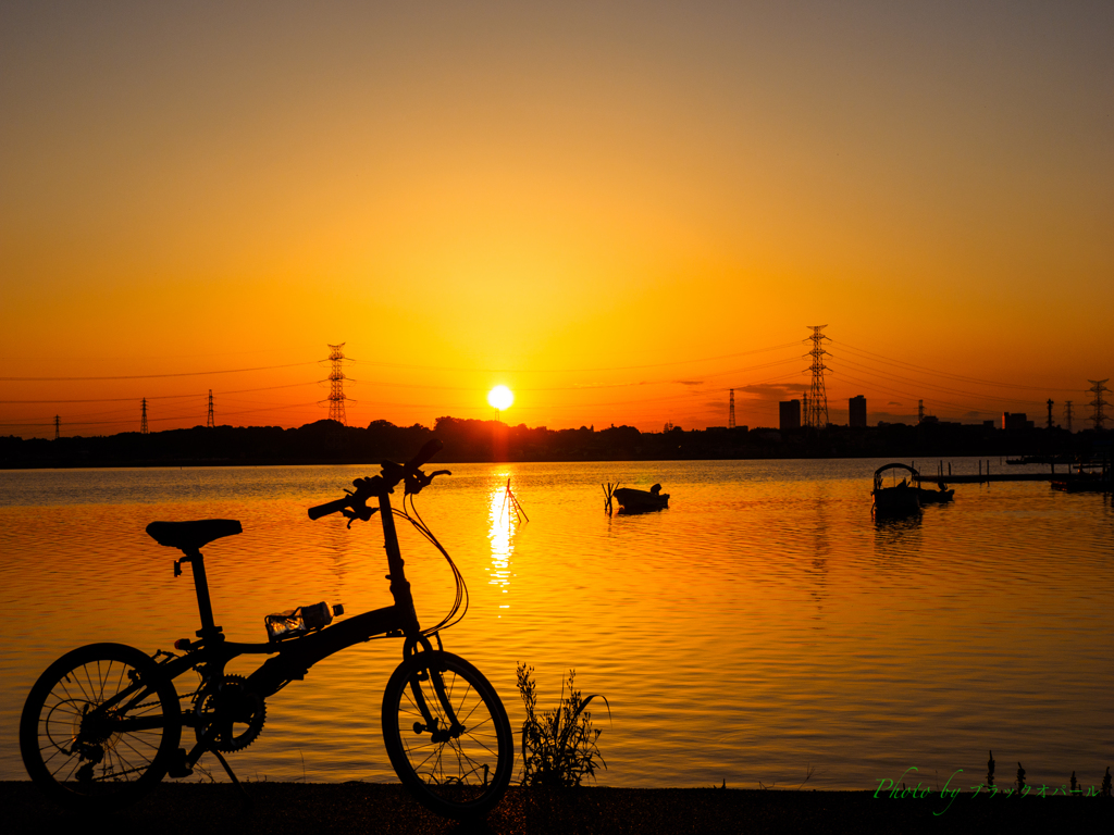 夕暮れの相棒..