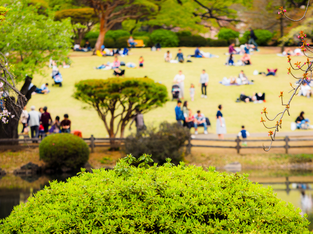 公園の休日..
