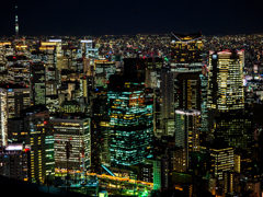 感謝の夜景