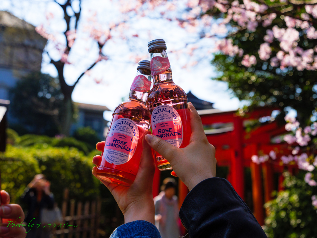 桜に乾杯♪