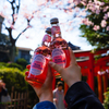 桜に乾杯♪