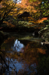 紅葉の六義園にて②