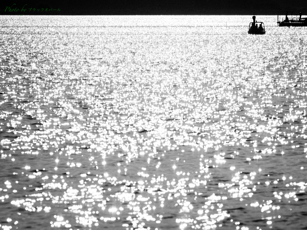 午後の煌めき..