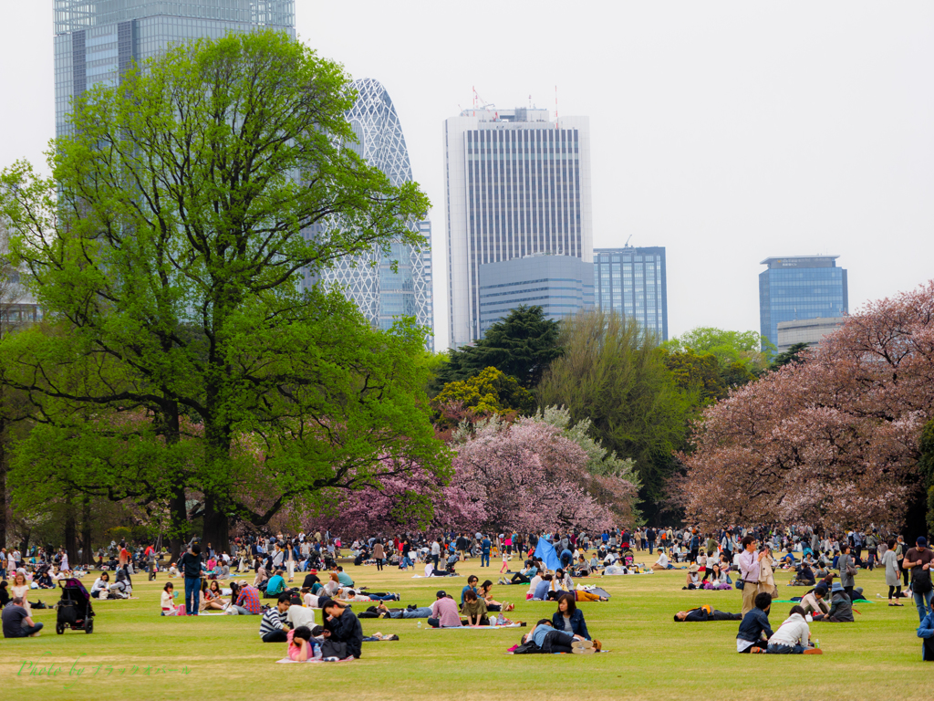 公園の休日..＃2